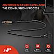 APOS0219 2x Upstream & Downstream O2 Oxygen Sensor
