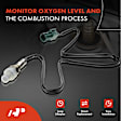 2-Pc Oxygen Sensor, Downstream Front & Rear, 4-Pin, A-Premium APOS0224