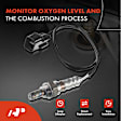 APOS0227 4x Upstream & Downstream O2 Oxygen Sensor
