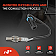 APOS0230 4x Upstream & Downstream O2 Oxygen Sensor