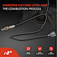 APOS0231 2x Upstream & Downstream O2 Oxygen Sensor