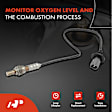 APOS0232 2x Upstream & Downstream O2 Oxygen Sensor