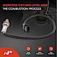 2-Pc Oxygen Sensor, Downstream Front & Rear, 4-Pin, A-Premium APOS0238