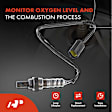 APOS0243 2x Upstream & Downstream O2 Oxygen Sensor