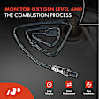 APOS0250 2x Downstream Left & Right O2 Oxygen Sensor