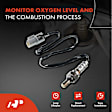 APOS0255 Upstream O2 Oxygen Sensor
