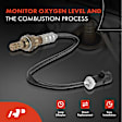 APOS0263 4x Upstream & Downstream O2 Oxygen Sensor
