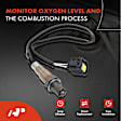 APOS0264C Upstream Downstream O2 Oxygen Sensor