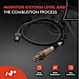 APOS0265 Downstream O2 Oxygen Sensor