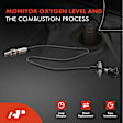 APOS0266C Downstream O2 Oxygen Sensor