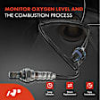 APOS0268 Upstream Downstream O2 Oxygen Sensor