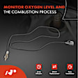 APOS0271 Upstream O2 Oxygen Sensor