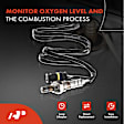 APOS0274 Upstream O2 Oxygen Sensor