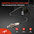 APOS0278 Downstream O2 Oxygen Sensor