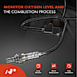 APOS0282 Upstream Downstream O2 Oxygen Sensor
