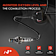 APOS0291 4x O2 Oxygen Sensor