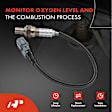 APOS0294 Upstream Downstream O2 Oxygen Sensor