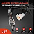 APOS0296 Upstream Downstream O2 Oxygen Sensor
