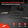 APOS0297 Downstream O2 Oxygen Sensor