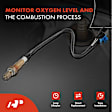 APOS0298 Upstream Downstream O2 Oxygen Sensor
