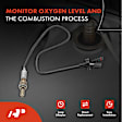 APOS0303C Upstream O2 Oxygen Sensor