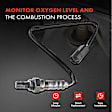APOS0304 Downstream O2 Oxygen Sensor