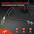APOS0310 Upstream O2 Oxygen Sensor