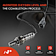 APOS0313 Upstream Downstream O2 Oxygen Sensor