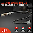 APOS0314 Upstream Downstream O2 Oxygen Sensor