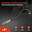 APOS0315C Upstream Downstream O2 Oxygen Sensor