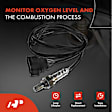 APOS0316C Upstream O2 Oxygen Sensor