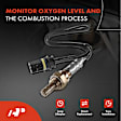 APOS0317 Upstream Downstream O2 Oxygen Sensor