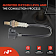 APOS0320 Downstream O2 Oxygen Sensor