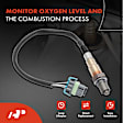 APOS0321C Upstream Downstream O2 Oxygen Sensor
