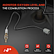 APOS0322C Upstream O2 Oxygen Sensor