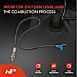 APOS0325 Upstream Downstream O2 Oxygen Sensor