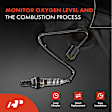 APOS0326C Upstream Downstream O2 Oxygen Sensor