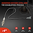 APOS0327C Downstream O2 Oxygen Sensor