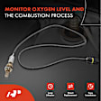APOS0330 Upstream O2 Oxygen Sensor