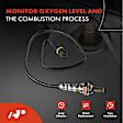 APOS0337 Upstream O2 Oxygen Sensor