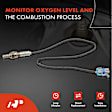 APOS0338 Downstream O2 Oxygen Sensor