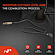 APOS0341C Upstream Downstream O2 Oxygen Sensor