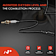 APOS0347 Upstream Downstream O2 Oxygen Sensor