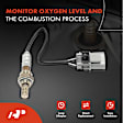 APOS0350 Upstream O2 Oxygen Sensor