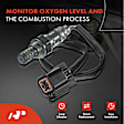 APOS0354 Upstream Downstream O2 Oxygen Sensor