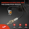 APOS0355 Center O2 Oxygen Sensor