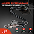 APOS0360 Downstream O2 Oxygen Sensor