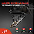 APOS0363C Downstream O2 Oxygen Sensor