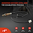 APOS0366 Upstream O2 Oxygen Sensor