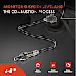 APOS0370 Upstream O2 Oxygen Sensor